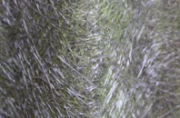 Coped Hall fibreglass roof work